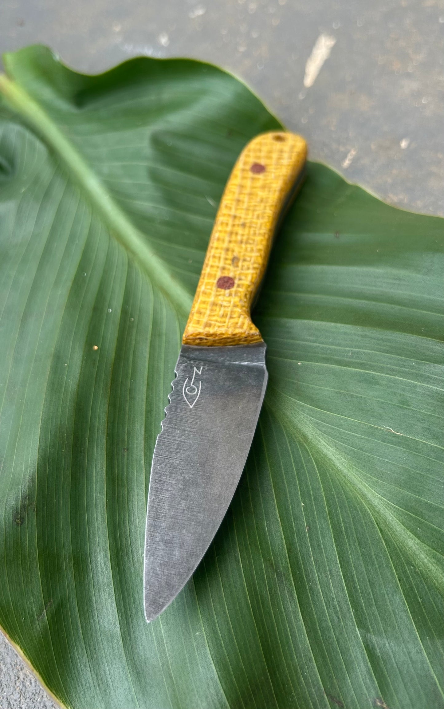 Torpedo | Golden Jute + Brown Pins