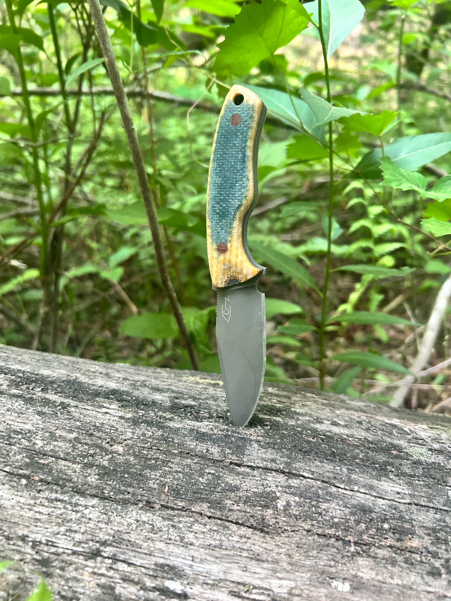 Step | Yellow-Blue Micarta w/Brown Pins