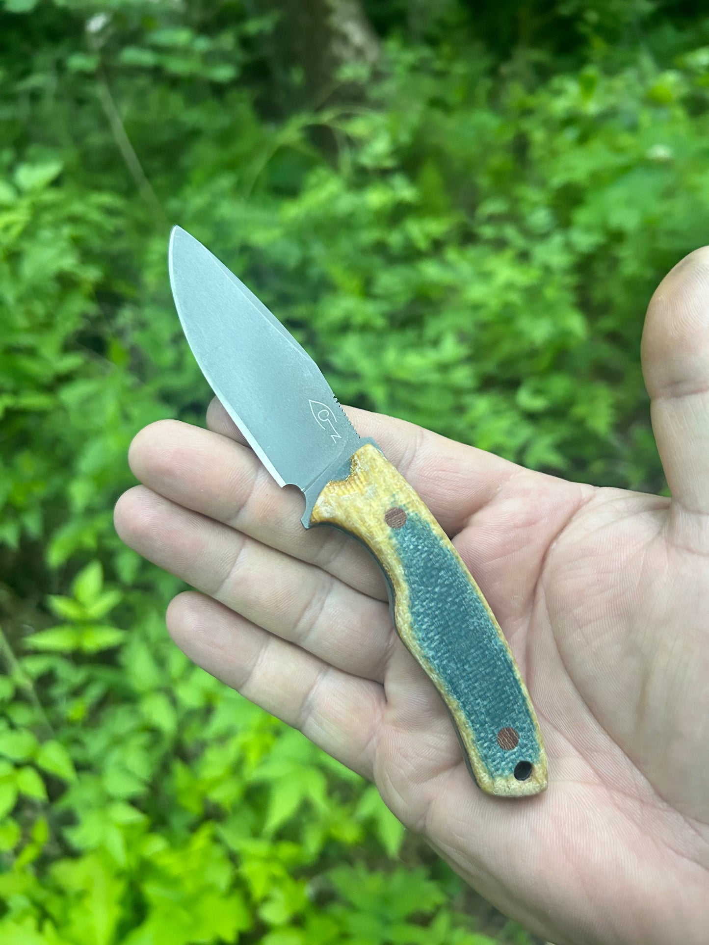 Step | Yellow-Blue Micarta w/Brown Pins